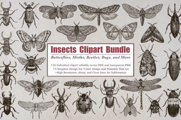 Download Insect Clipart Bundle - Clipart bundle Collection