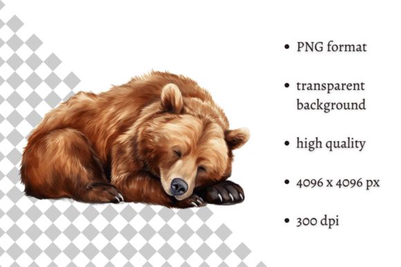 Download Watercolor Woodland Bear PNG Clipart - Woodland bear Collection