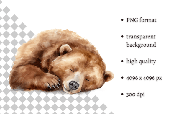 Download Watercolor Woodland Bear PNG Clipart - Woodland bear Collection