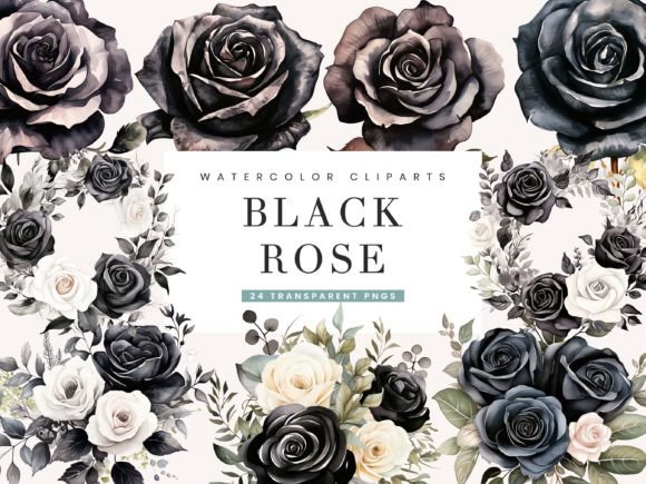 Download Watercolor Black Rose Clipart Bundle - Clipart bundle Collection