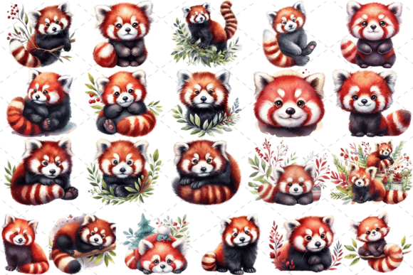 Download 21 Watercolor Red Panda Clipart Bundle - Clipart bundle Collection