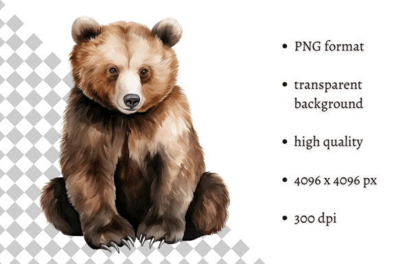 Download Watercolor Woodland Bear PNG Clipart - Woodland bear Collection