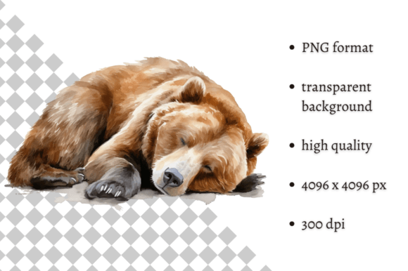 Download Watercolor Woodland Bear PNG Clipart - Woodland bear Collection