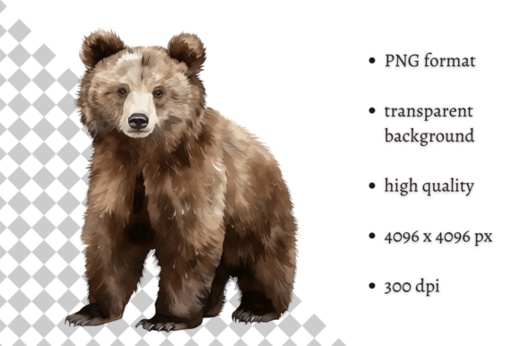 Download Watercolor Woodland Bear PNG Clipart - Woodland bear Collection