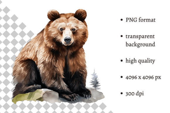 Download Watercolor Woodland Bear PNG Clipart - Woodland bear Collection